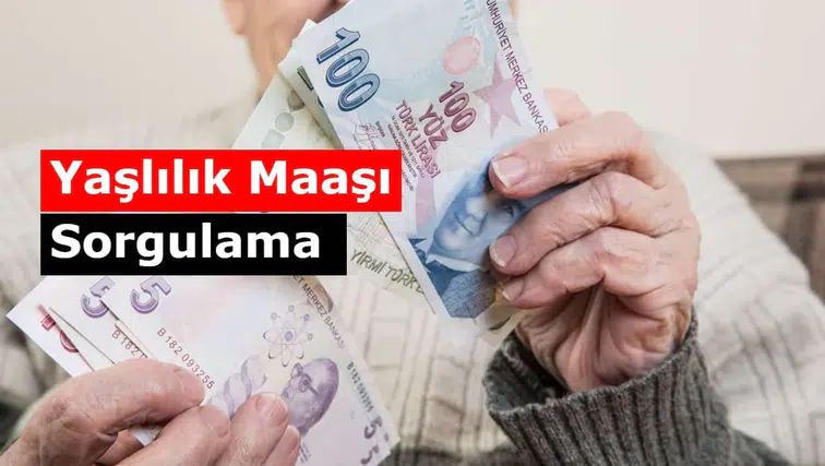Yaşlılık Maaşı Sorgulama Nasıl Yapılır? (E-Devlet - PTT)