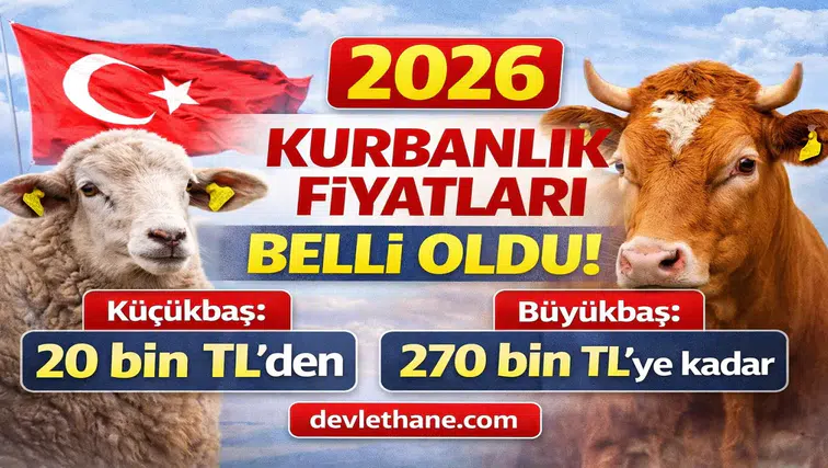Kurbanlık Fiyatları Netleşiyor: Küçükbaş 20 Bin TL’den Başlıyor, Büyükbaş 270 Bin TL’ye Kadar Çıkıyor
