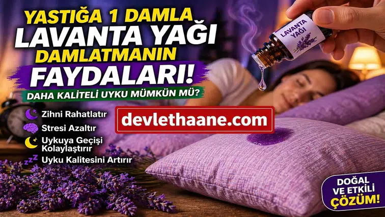 Yastığa 1 Damla Lavanta Yağı Damlatmak Ne İşe Yarar? Daha Kaliteli Uyku İçin Doğal Yöntem