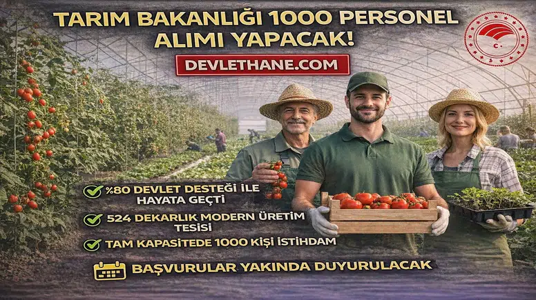 Tarım Bakanlığı 1000 Personel Alımı Yapacak! Çaycuma Sera OTB’de Üretim Başladı