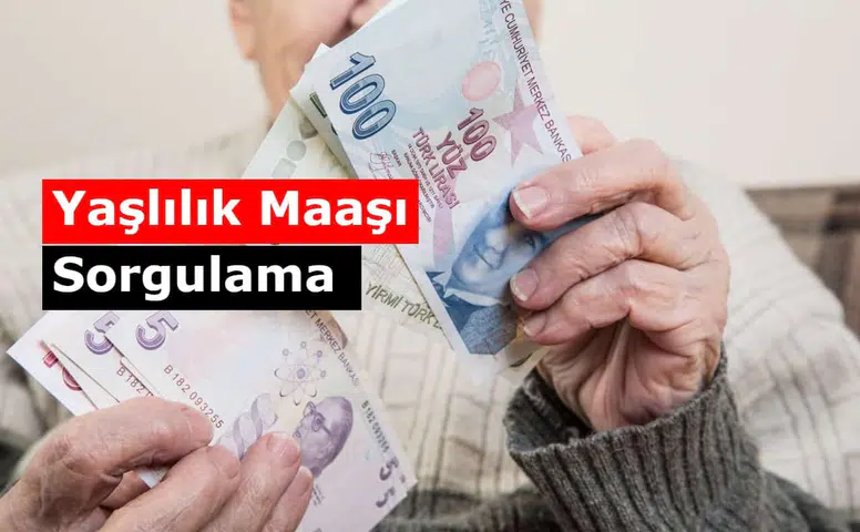 Yaşlılık Maaşı Sorgulama Nasıl Yapılır? (E-Devlet - PTT)