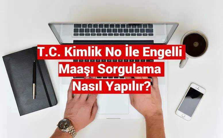 T.C No İle Engelli Maaşı Sorgulama E-Devlet