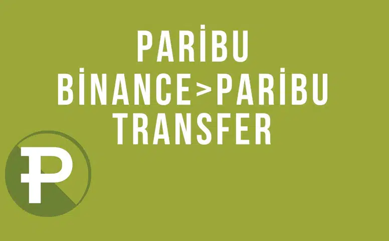 Binance'den Paribu'ya Coin Transferi