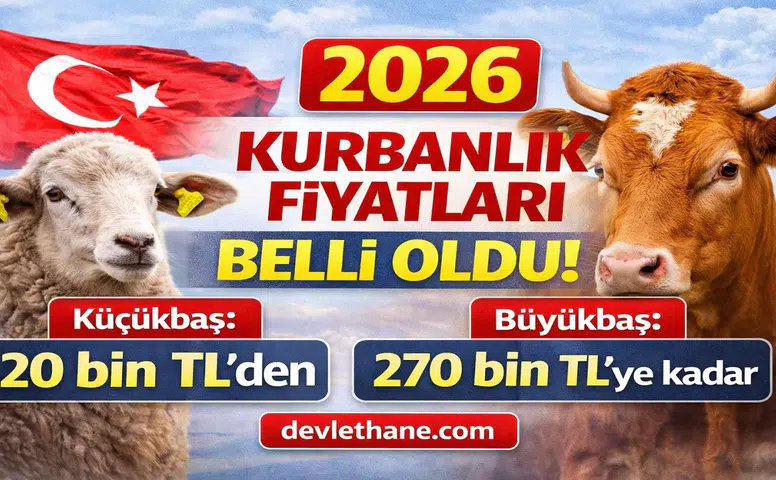 Kurbanlık Fiyatları Netleşiyor: Küçükbaş 20 Bin TL’den Başlıyor, Büyükbaş 270 Bin TL’ye Kadar Çıkıyor