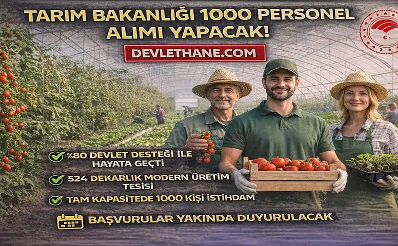 Tarım Bakanlığı 1000 Personel Alımı Yapacak! Çaycuma Sera OTB’de Üretim Başladı