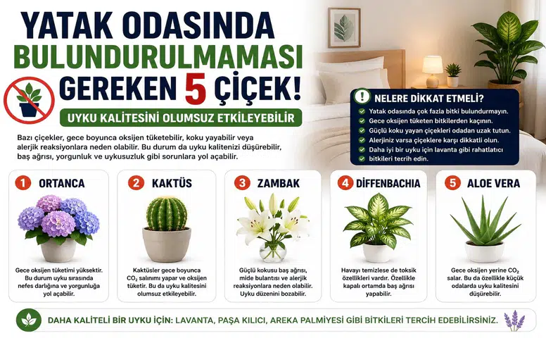 Yatak Odasında Bulundurulmaması Gereken 5 Çiçek! Uyku Kalitesini Olumsuz Etkileyebilir