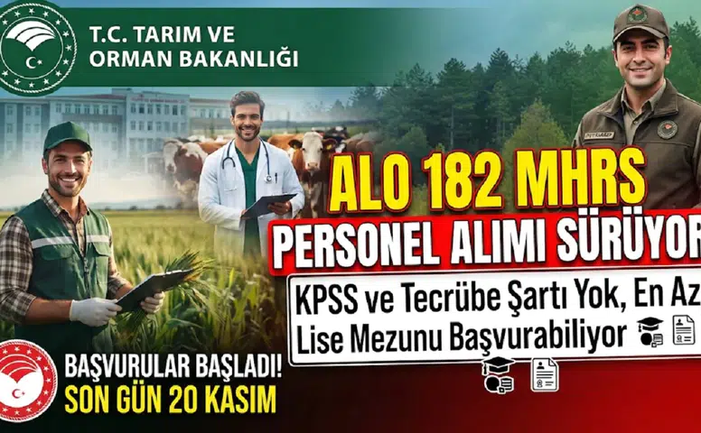 ALO 182 MHRS Personel Alımı Sürüyor: KPSS ve Tecrübe Şartı Yok, En Az Lise Mezunu Başvurabiliyor