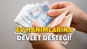 Ev Hanımlarına Sosyal Yardım Başvurusu E-Devlet Başvuru Formu